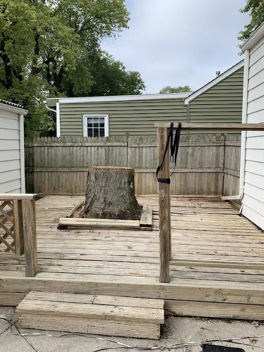 Josh Newsome's Tree Surgery Picture 6