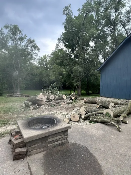 Josh Newsome's Tree Surgery Picture 7