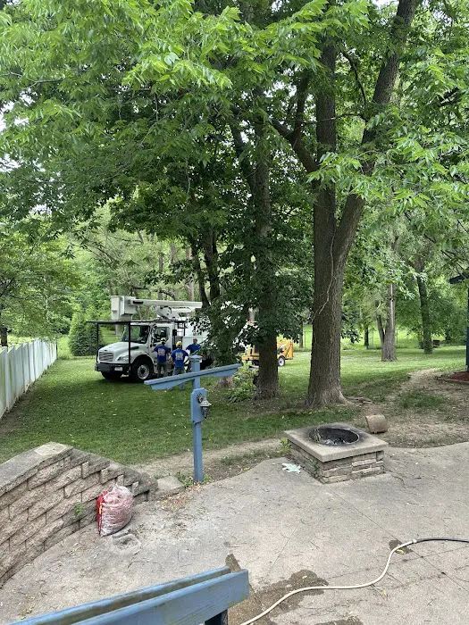 Josh Newsome's Tree Surgery Picture 8