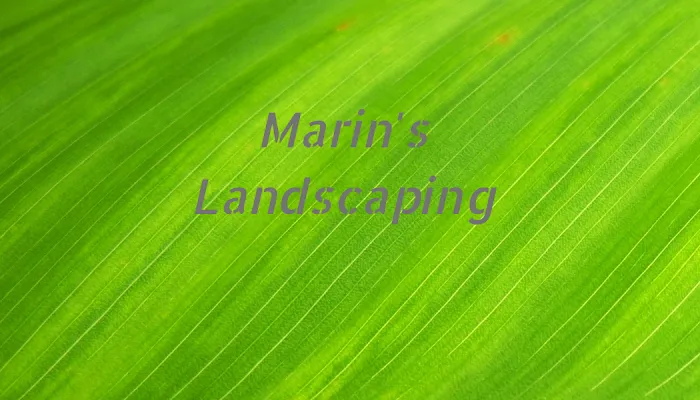 Marin's Landscaping Picture 1
