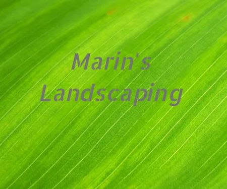 Marin's Landscaping