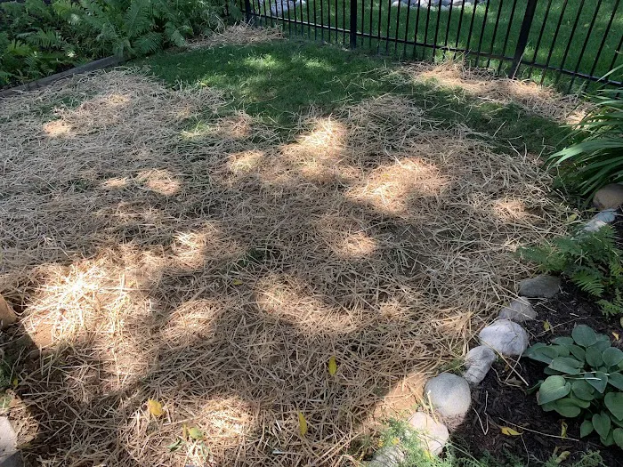 Cooper Lawncare Maintenance Picture 7