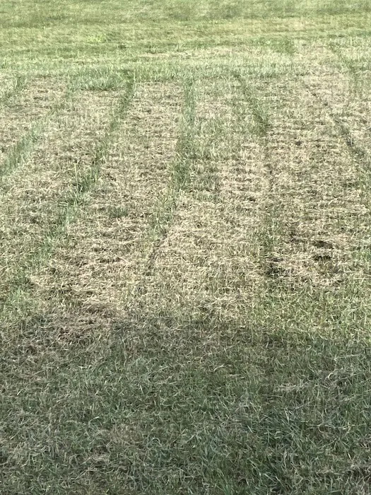 Cooper Lawncare Maintenance Picture 2