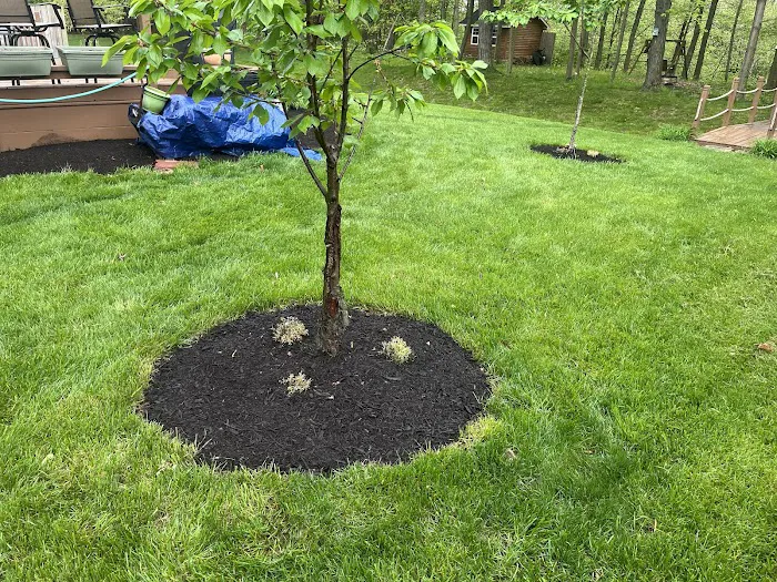Cooper Lawncare Maintenance Picture 1