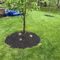 Cooper Lawncare Maintenance ico