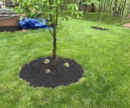 Cooper Lawncare Maintenance