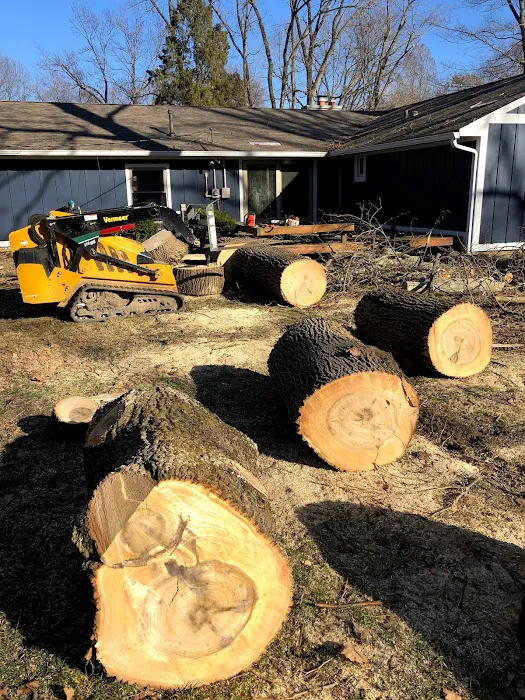 Evergreen Tree Service & Landscape Picture 6