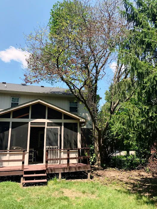 Evergreen Tree Service & Landscape Picture 10