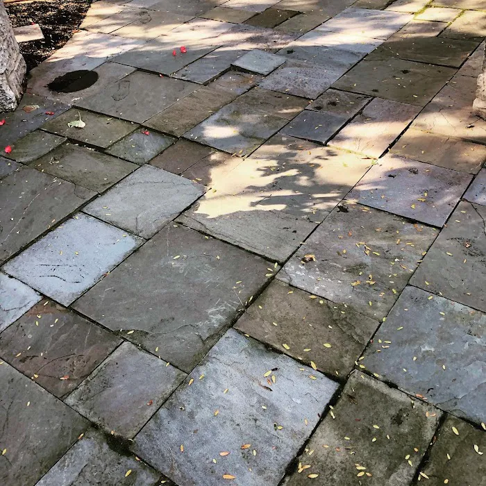 Evergreen Tree Service & Landscape Picture 2