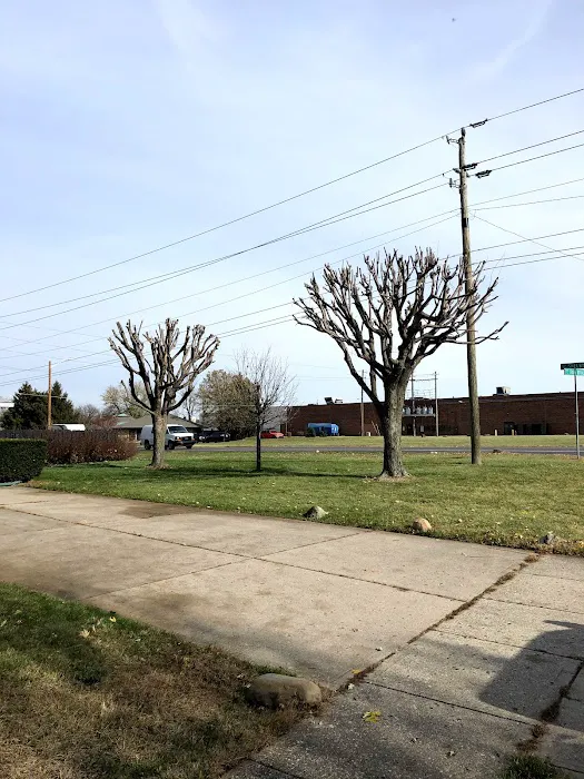 Evergreen Tree Service & Landscape Picture 3