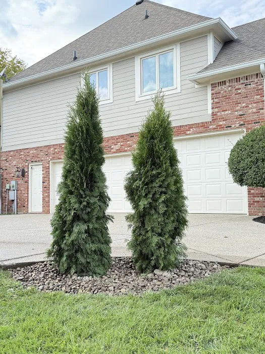 Rooted Lawn & Landscape Picture 5