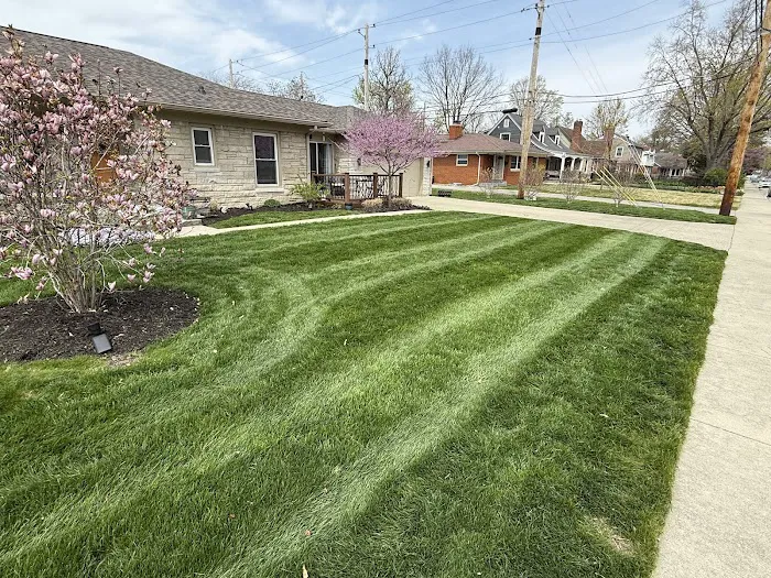 Rooted Lawn & Landscape Picture 1