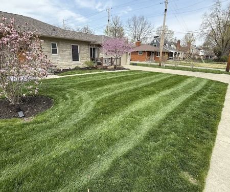 Rooted Lawn & Landscape
