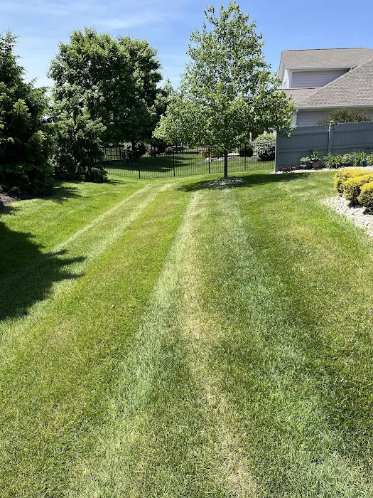 Hoosier Homes Lawn & Landscape LLC Picture 6