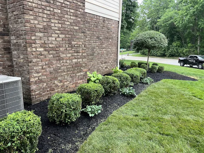Tree Of Life Tree Service & Landscaping Picture 5