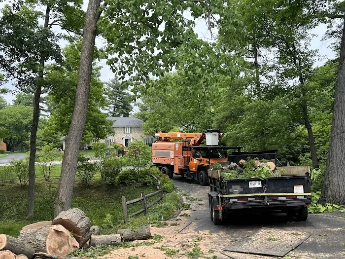 Tree Of Life Tree Service & Landscaping Picture 8