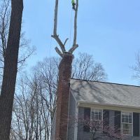Tree Of Life Tree Service & Landscaping ico