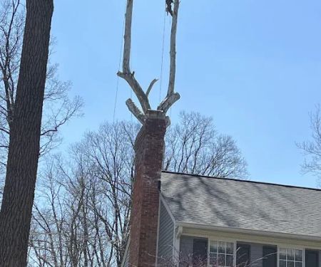 Tree Of Life Tree Service & Landscaping