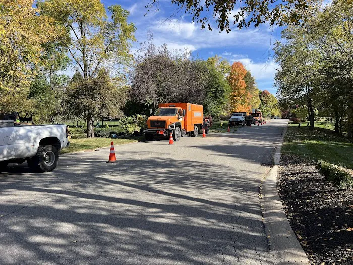 Tree Of Life Tree Service & Landscaping Picture 10