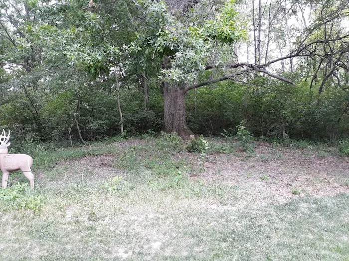 Picture Perfect Lawn & Landscaping Picture 3