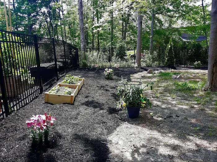 Picture Perfect Lawn & Landscaping Picture 4