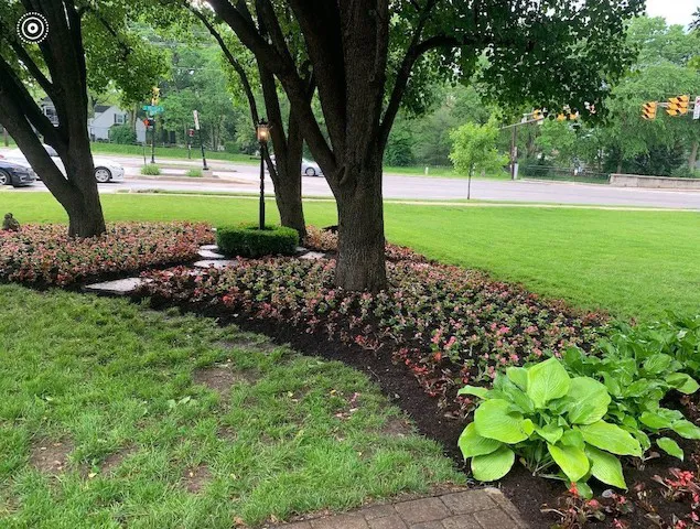 Picasso Lawn and Landscape Picture 3