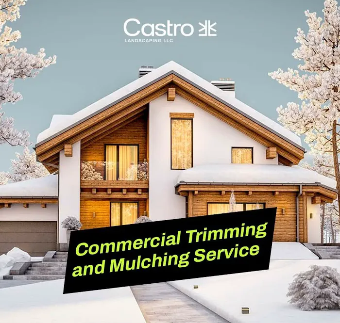 Castro landscaping LLC Picture 6