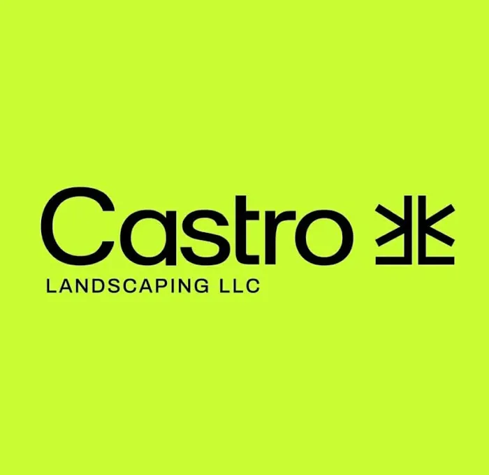 Castro landscaping LLC Picture 3