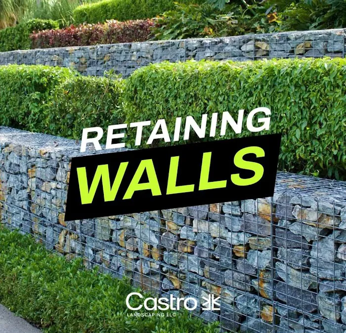 Castro landscaping LLC Picture 5