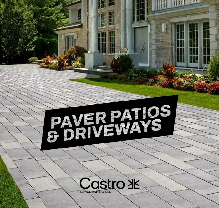 Castro landscaping LLC Picture 4