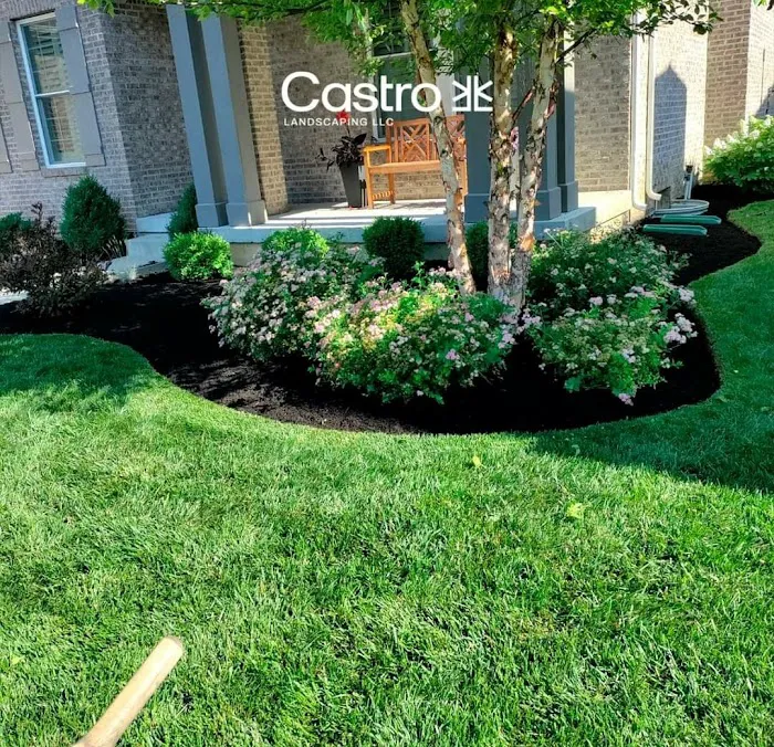 Castro landscaping LLC Picture 1