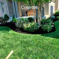 Castro landscaping LLC ico
