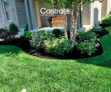 Castro landscaping LLC
