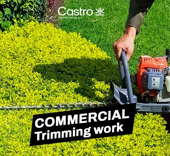 Castro landscaping LLC Picture 2