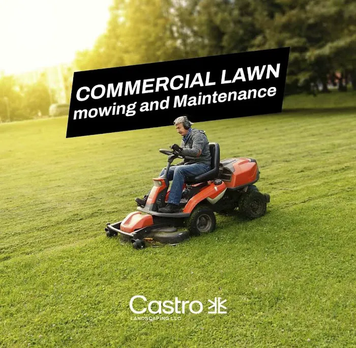 Castro landscaping LLC Picture 10