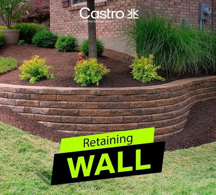 Castro landscaping LLC Picture 8
