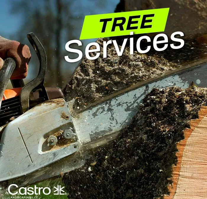 Castro landscaping LLC Picture 9