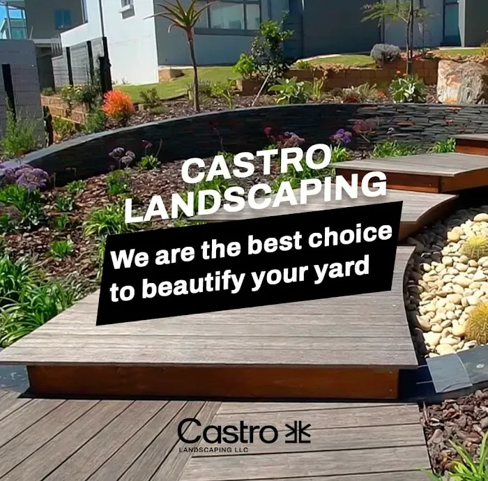 Castro landscaping LLC Picture 7