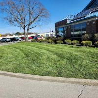 Rising Sun Landscaping ico