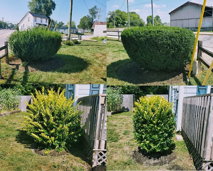 Rising Sun Landscaping Picture 9