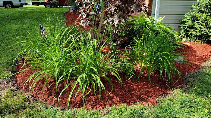 Rising Sun Landscaping Picture 4