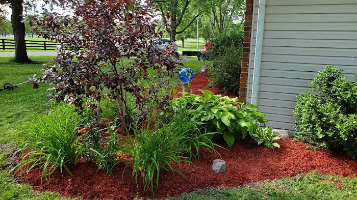 Rising Sun Landscaping Picture 2