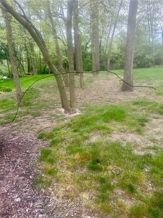 Summit Landscape and Design Picture 8