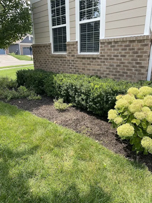 Summit Landscape and Design Picture 2