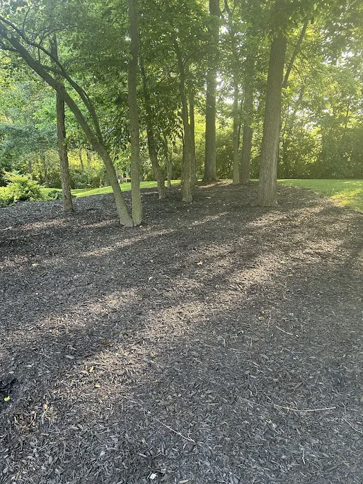 Summit Landscape and Design Picture 1