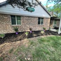 Vito’s Lawncare LLC ico