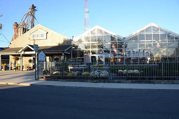 The Grainery Greenhouse Picture 1