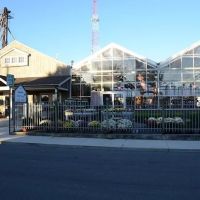 The Grainery Greenhouse ico