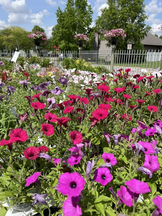The Grainery Greenhouse Picture 5