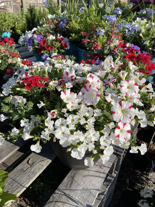 The Grainery Greenhouse Picture 9